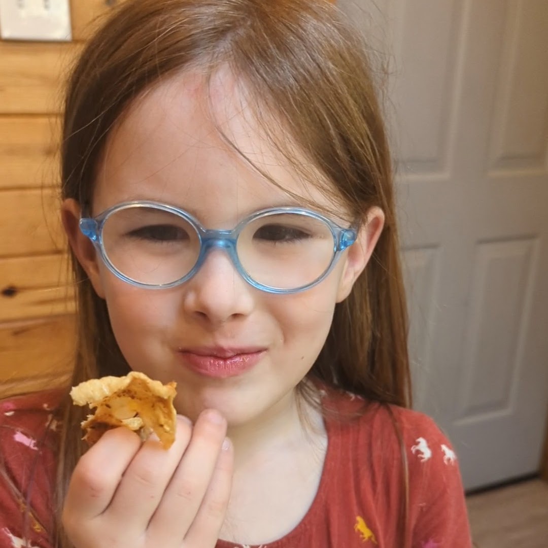 Airfryer Chicken Skin Crisps Indigo Nili